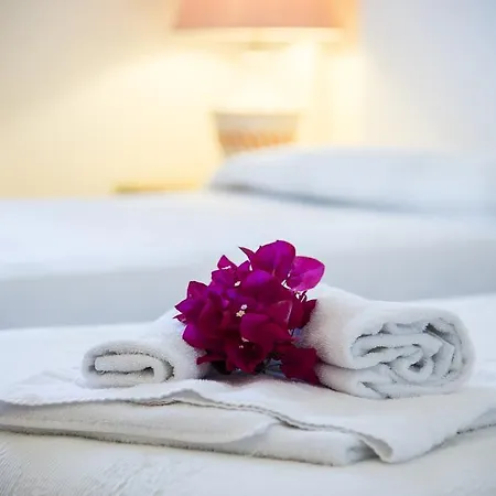 Hotel Palau