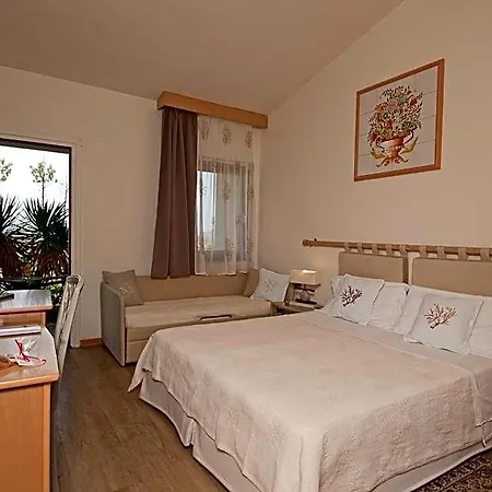 Hotel Palau 4*