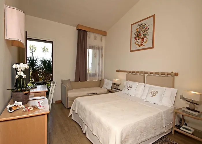 Hotel Hotel Palau Palau